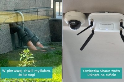 16 fotografii, które sprawią, że przetrzesz oczy ze zdumienia