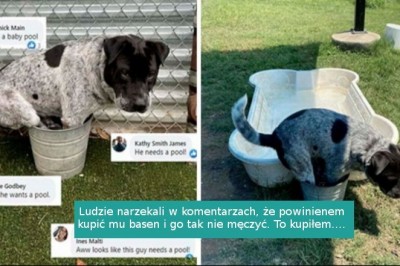 16 sytuacji, w których została podjęta próba, ale efekty okazały się mizerne