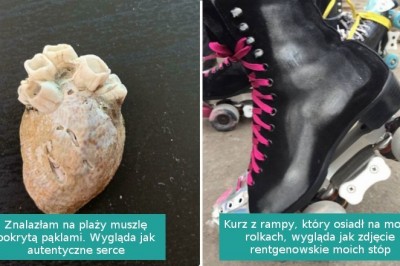 16 fotografii, które pokazują, jak łatwo da się oszukać nasz mózg