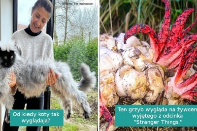 18 fotografii przedstawiających urzekające piękno natury