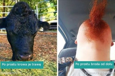 15 fascynujących fotografii, które powstały całkowicie normalnie i bez użycia Photoshopa