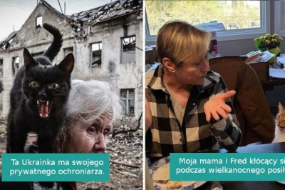 16 niezwykle krzykliwych kotów, które lubią zwracać na siebie uwagę