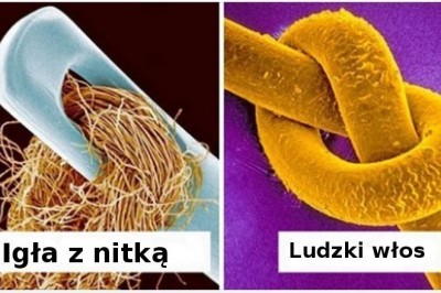 17 zwyczajnych rzeczy, które pod mikroskopem przemieniają się w cuda z innej planety