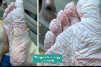 16 osób, które potwierdziły, że człowiek to najbardziej wyjątkowa istota na świecie