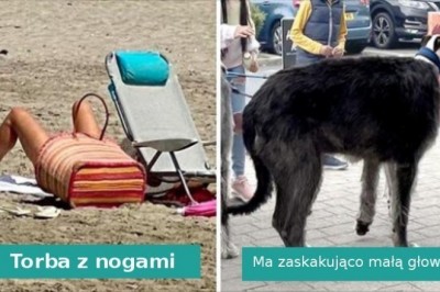 15 fotografii, których nie da rady zrozumieć na pierwszy rzut oka