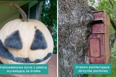 16 rzeczy nadgryzionych przez ząb czasu. Mocno się zmieniły