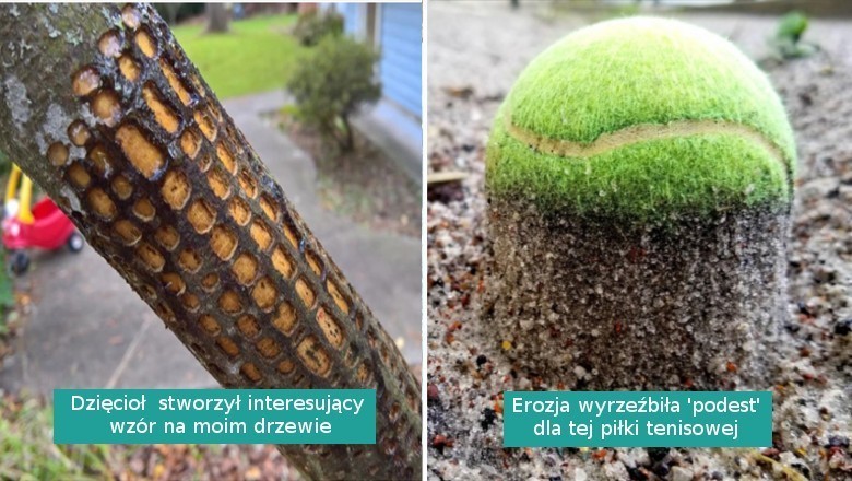 15 sytuacji, w których natura postanowiła udekorować świat na swój wyjątkowy sposób
