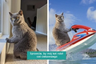 14 zwykłych fotografii, które trafiły w ręce mistrzów Photoshopa