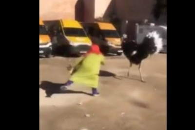 Babcia szybko pożałowała swojego zachowania