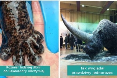 Fotografie, które w kilka minut mogą mocno zmienić twoje spojrzenie na świat