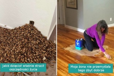 15 nieoczekiwanych sytuacji, obok których nie da się przejść obojętnie