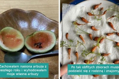 15 osób, które spróbowały wyhodować własne plony, ale coś poszło nie tak