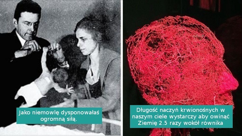 10 niecodziennych faktów, które udowodniają, że nasze ciało jest pełne tajemnic