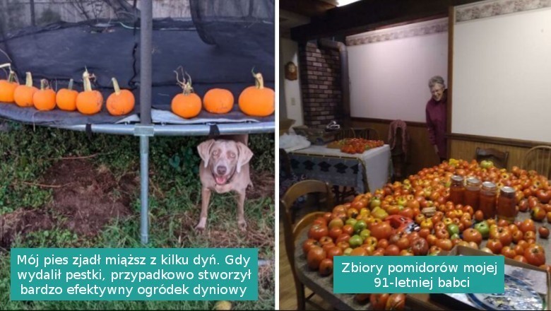 16 osób, które pokazały swoją miłość do ogrodnictwa