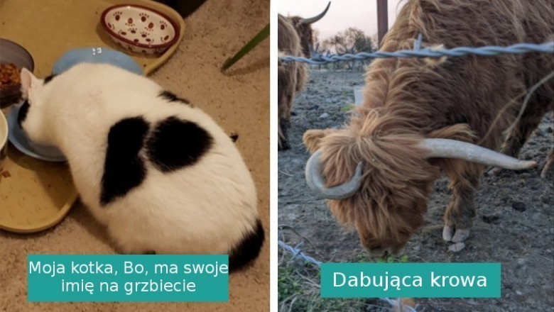 14 sytuacji, w których życie zafundowało nam darmowe przedstawienie