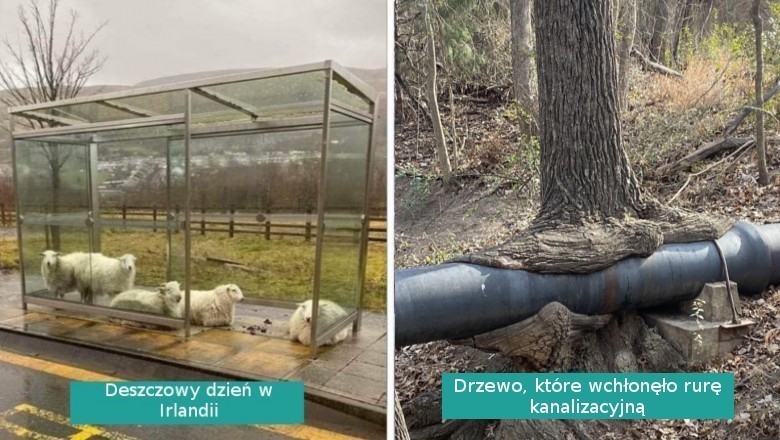 15 fotografii wyglądających jakby zrobiono je w innym wymiarze