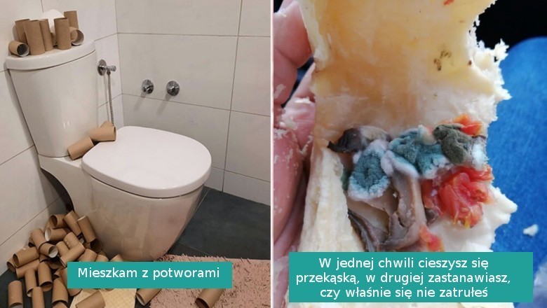 14 osób, które dały upust frustracji po tym, co je spotkało
