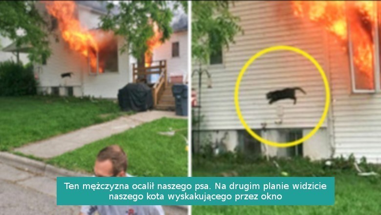 14 fotografii, które wzbudziły naszą ciekawość, pokazując niezwykłe historie