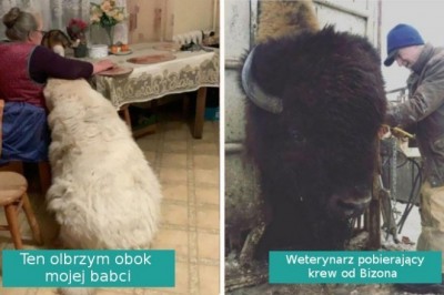 Galeria pokazująca rzeczy o szczególnie imponujących rozmiarach