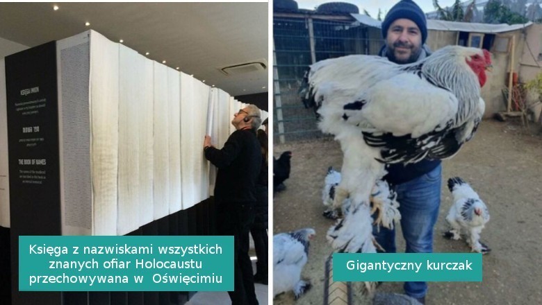 15 rzeczy i stworzeń, których rozmiar wprawił nas w zdumienie