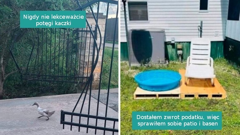 16 fotografii, które powstały tylko po to by poprawić nam nastrój