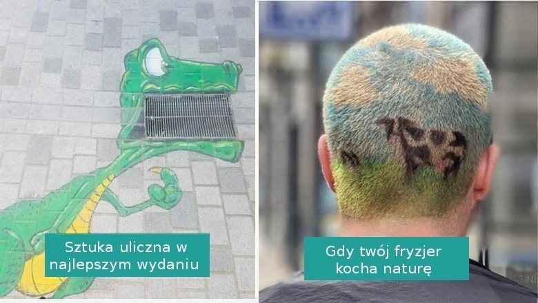 13 osób, które pokazały, że w życiu zawsze jest miejsce na błyskotliwe pomysły