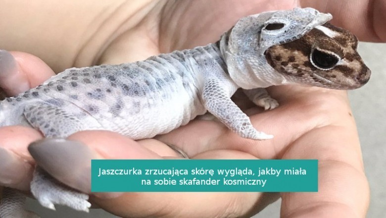 14 fotografii, które pokazują, że na świecie wciąż kryje się wiele niespodzianek