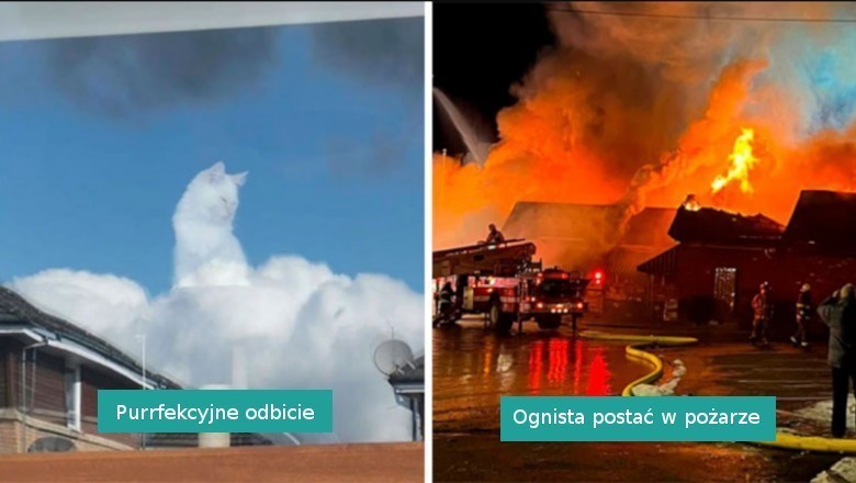 17 przykładów „przypadkowego surrealizmu” zauważonego przez internautów