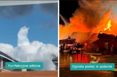 17 przykładów „przypadkowego surrealizmu” zauważonego przez internautów