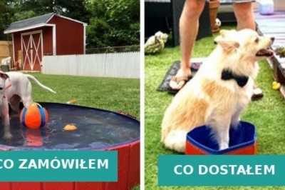 Te osoby zagrały na loterii o nazwie zakupy w Internecie i poległy z kretesem