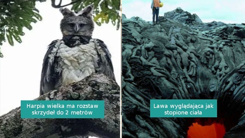 18 intrygujących i niepokojących fotografii, którymi podzielili się internauci
