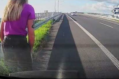 Bohaterska policjantka uratowała dwa psy błąkające się po S5. Nagranie z wideorejestratora