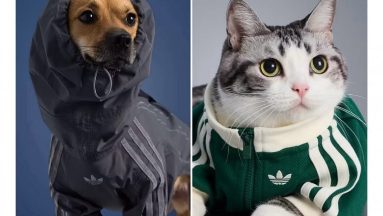 Adidas wypuścił kolekcję ubrań dla psów i kotów. Mini dresy z trzema paskami podbiły internet