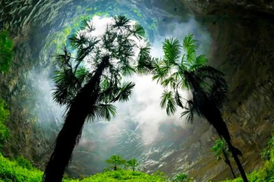 W Chinach odkryto ogromny las ukryty w leju krasowym u zbocza góry