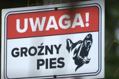 Psy miały atakować już wcześniej m.in. kobietę z dzieckiem i młodego mężczyznę. Nowe doniesienia w sprawie