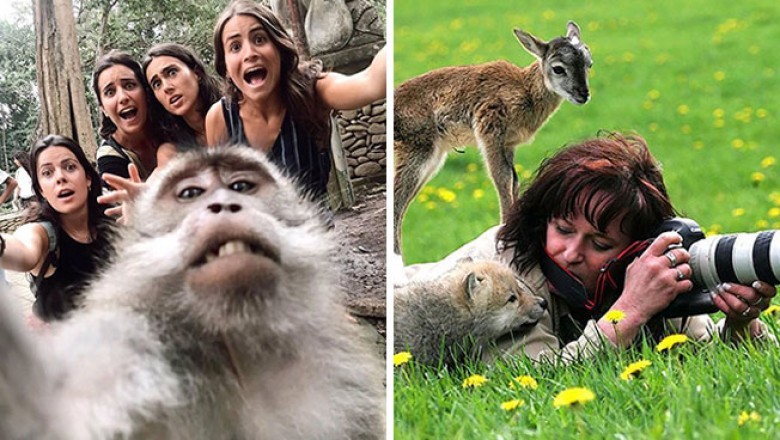 Te zwierzęta wiedzą jak się ustawić, żeby stać się prawdziwymi gwiazdami na zdjęciach