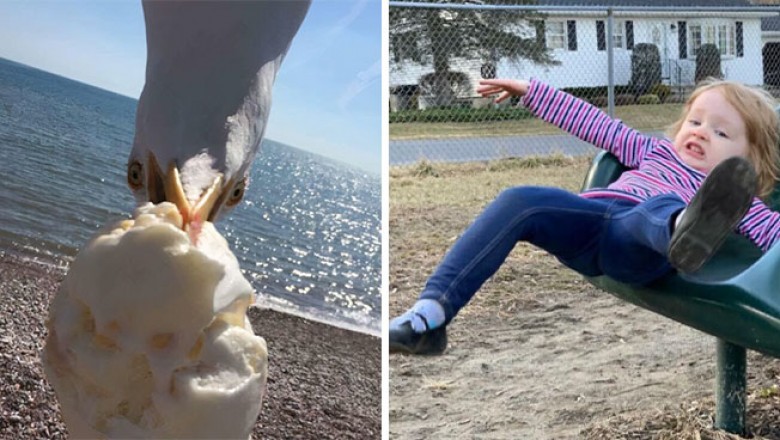 „Uchwycone na krawędzi”  Galeria zdjęć uchwyconych w idealnym momencie