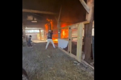 Ratowali zwierzęta z palącej się stodoły. Nagranie z bohaterskiej akcji na farmie piosenkarza