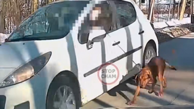 Jechał i trzymał psa na smyczy który biegł obok auta. Nagranie z Ząbek