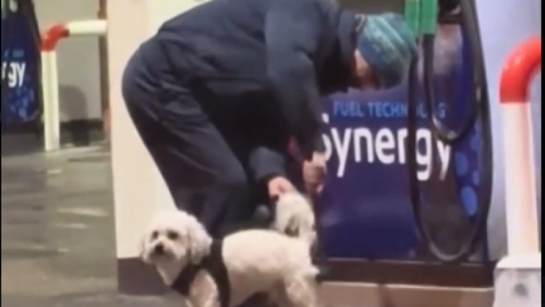 Mycie psa na stacji benzynowej. Nic dziwniejszego dzisiaj nie zobaczysz