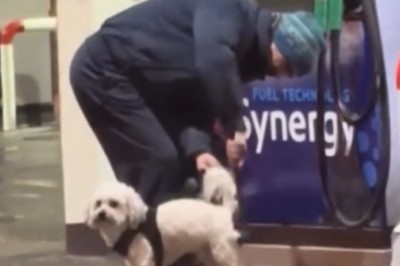 Mycie psa na stacji benzynowej. Nic dziwniejszego dzisiaj nie zobaczysz