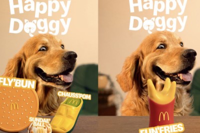 McDonald’s wprowadził „Happy Doggy”. Zabawki nie dla dzieci, tylko dla psów