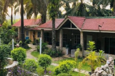 Dom emeryta dla 20-latków? W Malezji ruszył azyl dla wypalonych zawodowo młodych - i szybko się zapełnił