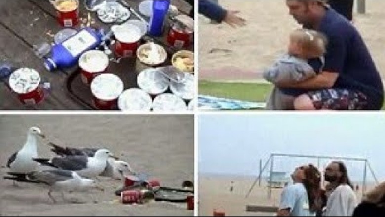 W 2012 roku grupa nastolatków nakarmiła mewy środkiem na przeczyszczenie. Taki był tego efekt.