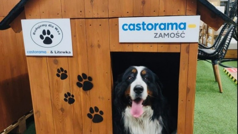 Pracownicy Castoramy z całej Polski zbudowali 222 budy dla psów. Wszystkie trafią do schronisk