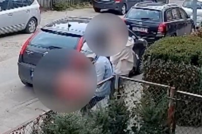 Wyrzucił i kopnął kota, tłumaczył, że zwierzę było agresywne. 20-latek odpowie za znęcanie się nad zwierzęciem